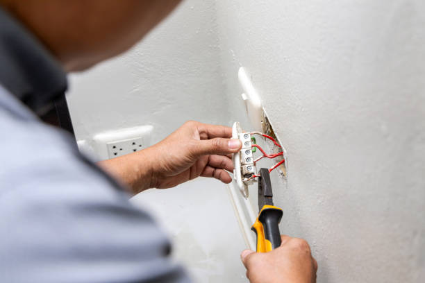 Best Affordable Electrician  in Greenwood, DE