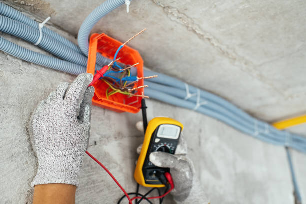 Best Home Electrical Repair  in Greenwood, DE